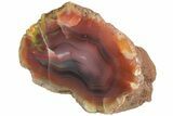 Colorful, Polished Patagonia Agate - Argentina #214909-1